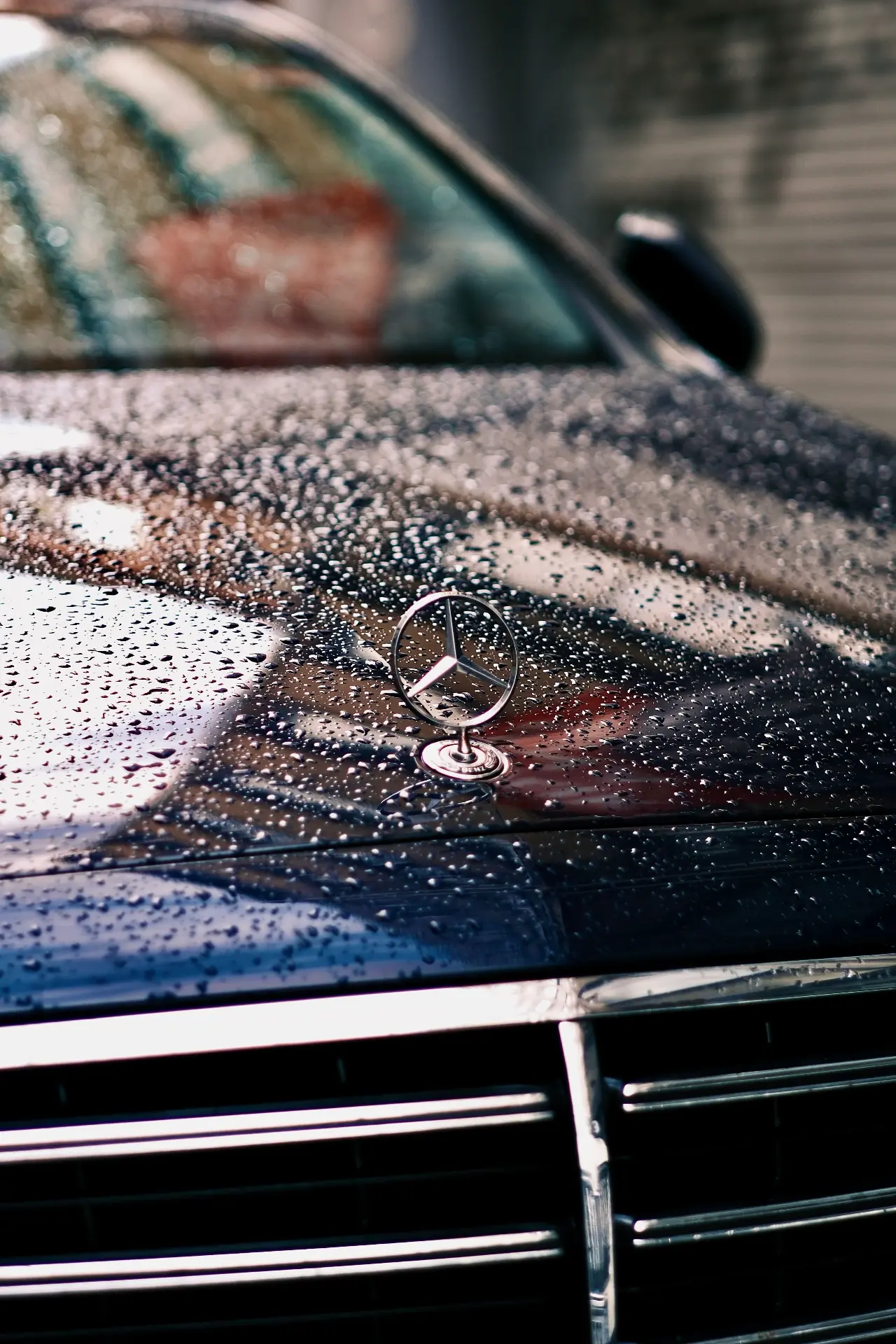 Chrome hood ornament on a wet dark hood with rain droplets
